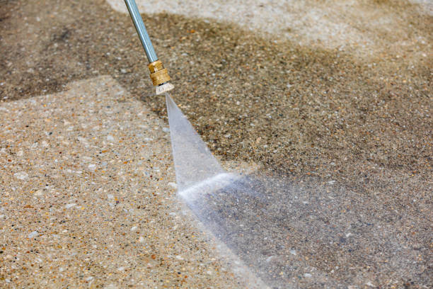 Animal Enclosure Cleaning in Cypress Gardens, FL
